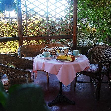 Bed and Breakfast Le Camelie Brissago-Valtravaglia Zewnętrze zdjęcie