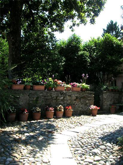 Bed and Breakfast Le Camelie Brissago-Valtravaglia Zewnętrze zdjęcie